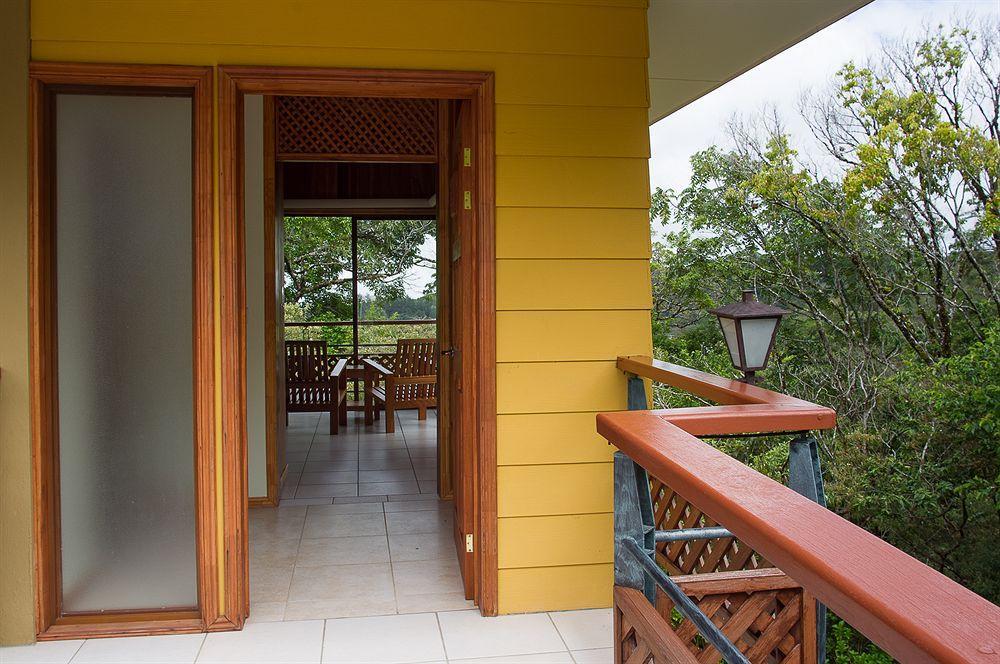 Ficus Lodge モンテベルデ エクステリア 写真