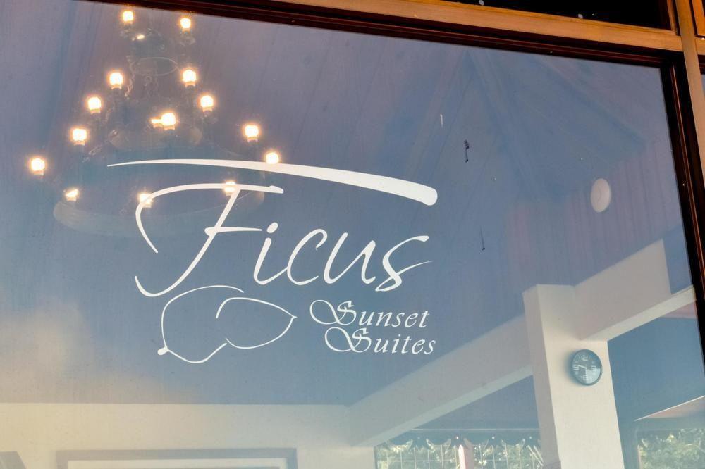 Ficus Lodge モンテベルデ エクステリア 写真