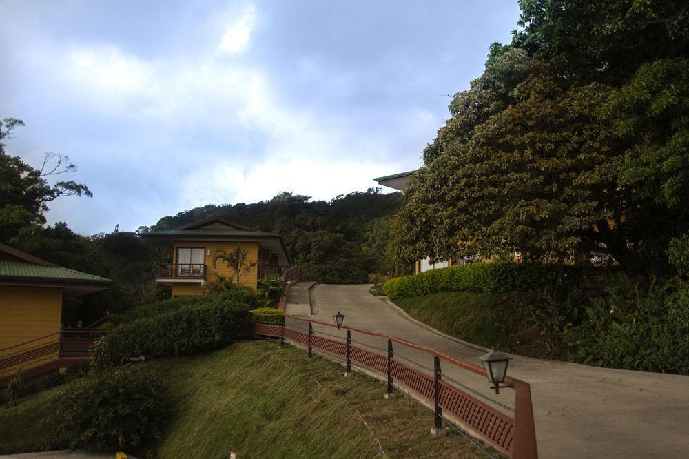 Ficus Lodge モンテベルデ エクステリア 写真