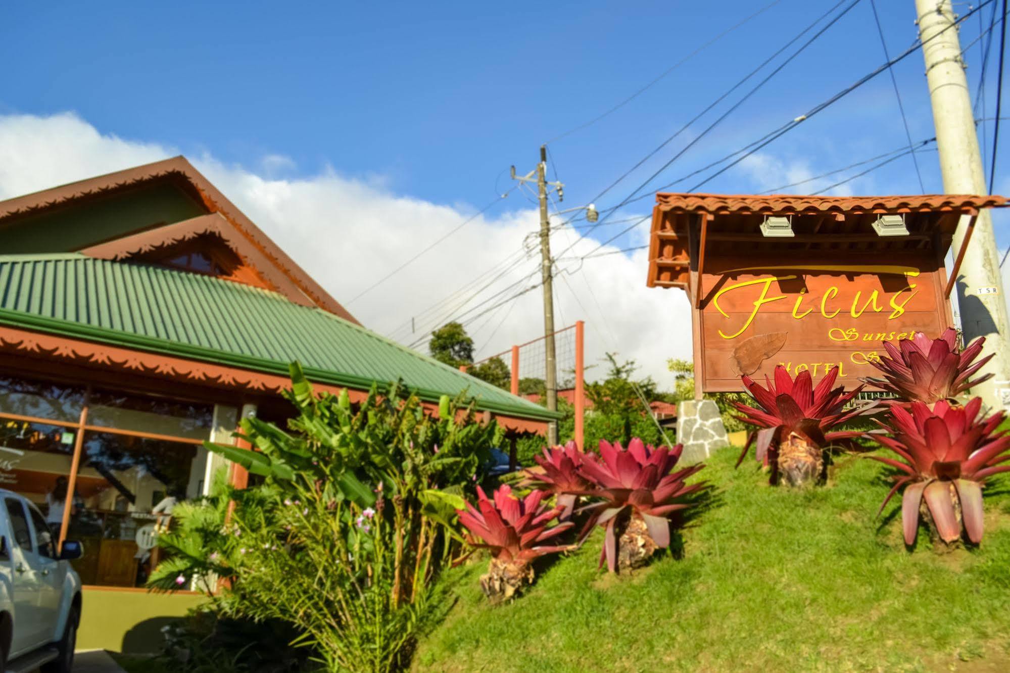 Ficus Lodge モンテベルデ エクステリア 写真