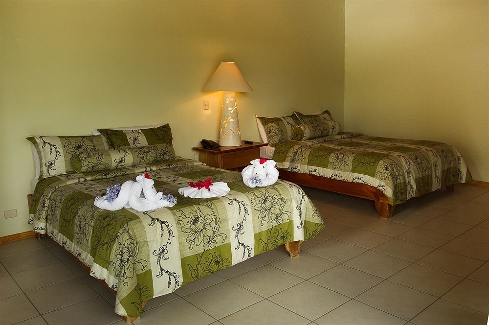 Ficus Lodge モンテベルデ エクステリア 写真
